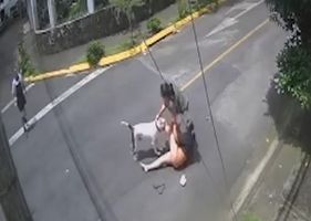 Woman walking with her pet is brutally attacked by a pit bull in the middle of the street and struggles not to die Photo 0001
