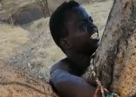 Young boy tied to a tree full of ants as a form of punishment for who knows what Photo 0001