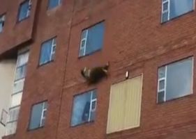 A fat woman fell out of a 5th floor window Photo 0001