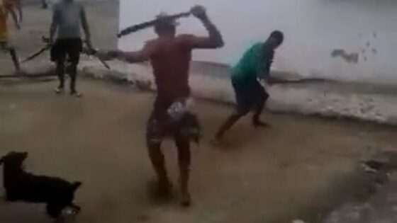 Crazy machete fight Photo 0001 Video Thumb