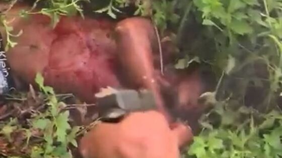 Man being executed with machine gun fire without automatic in Brazil by rival faction members Photo 0001 Video Thumb