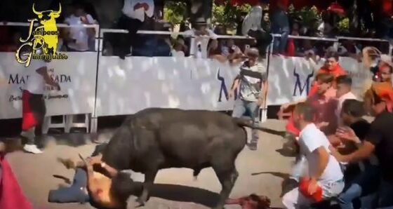 Mexican beaner destroyed by bull Photo 0001 Video Thumb