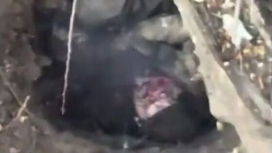 Russians getting hit by Ukrainian drone Photo 0001 Video Thumb