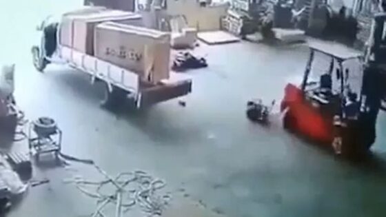 Warehouseman tries to save a box and ends up under forklifts wheels Photo 0001 Video Thumb