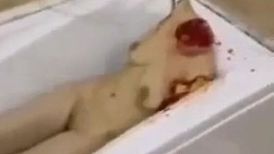 Woman slaughtered and left in the bathtub Photo 0001 Video Thumb