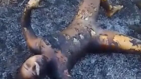 Body of woman burned alive in brazil is found among the ashes Photo 0001 Video Thumb