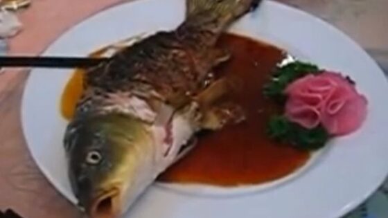 Cooked fish served to diners with its head very much still alive Photo 0001 Video Thumb