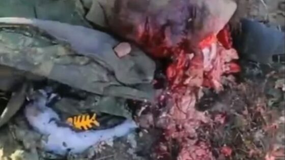 Dead russian soldier with a destroyed head Photo 0001 Video Thumb