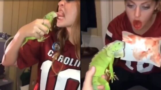 Girl vs lizard Photo 0001 Video Thumb