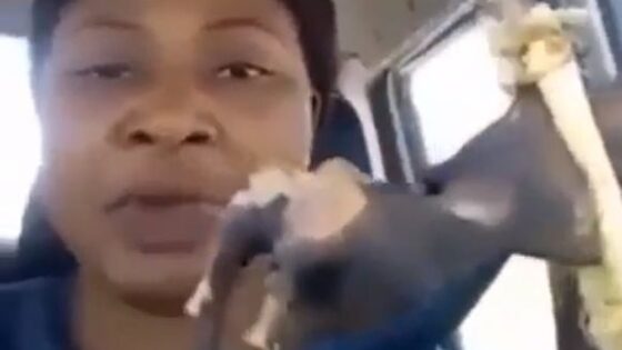 Gkmojo 67s mother eating rat in a car Photo 0001 Video Thumb