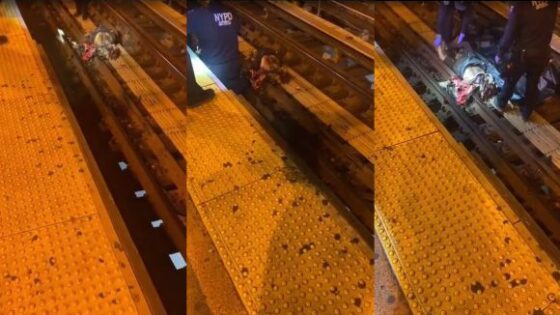 Man hit by train while crossing subway track in manhattan Photo 0001 Video Thumb