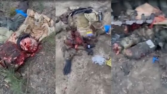 Soldiers killed on the battlefield during the russia vs ukraine war one more video Photo 0001 Video Thumb