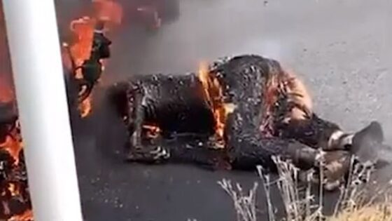 Body of person killed in traffic accident burning on the asphalt Photo 0001 Video Thumb