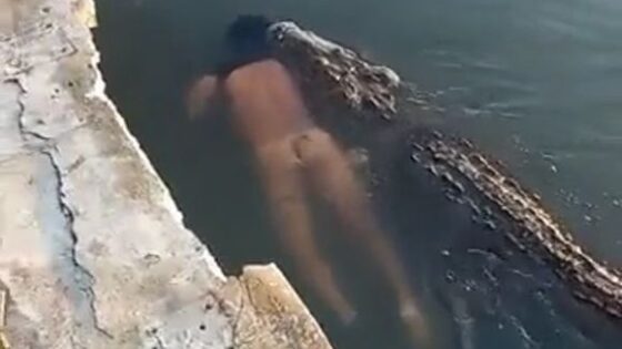 Crocodile claims the body of a dead man and calmly swims off with it Photo 0001 Video Thumb