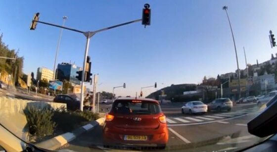 Instant death at a crosswalk Photo 0001 Video Thumb