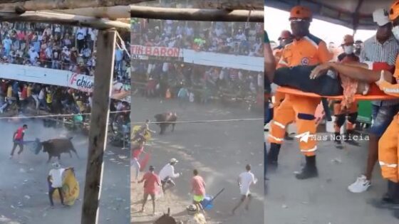 Man has his belly pierced by a bulls horn during a bullfight and dies with intestines sticking out of his belly Photo 0001 Video Thumb