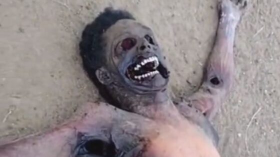 Dead mans body is found fully decomposed and stinking badly Photo 0001 Video Thumb