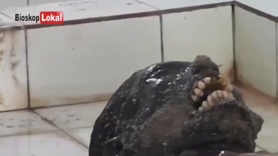 Rotten and dead body of deceased being washed in mortuary in india Photo 0001 Video Thumb