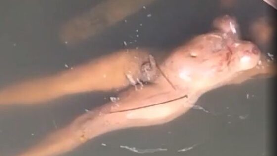Transgender found dead naked in the river Photo 0001 Video Thumb