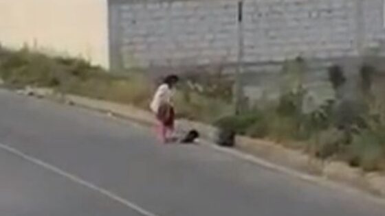 Warning mother beating her son in the video Photo 0001 Video Thumb