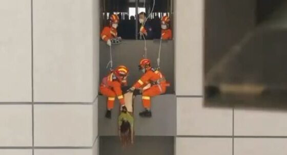 Body of dead woman being rescued after falling from top of building Photo 0001 Video Thumb