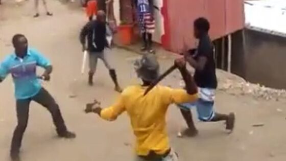 Brutal gang fight using machete Photo 0001 Video Thumb