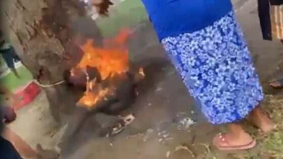 Criminal being burned alive as punishment for his terrible deeds in terrible lynching Photo 0001 Video Thumb
