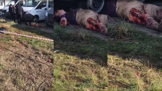 Dead womans body found missing pieces no info Photo 0001 Video Thumb