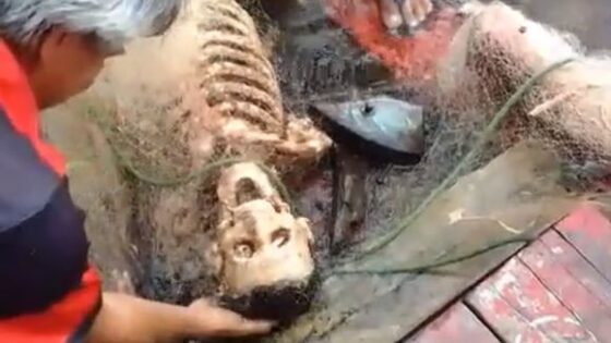 Decomposed corpse caught in fishermens net Photo 0001 Video Thumb