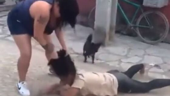 Girls fighting in brazil put on a show of brutality Photo 0001 Video Thumb