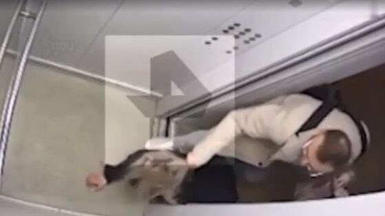 Man beats woman and throws her into the elevator for no apparent reason Photo 0001 Video Thumb