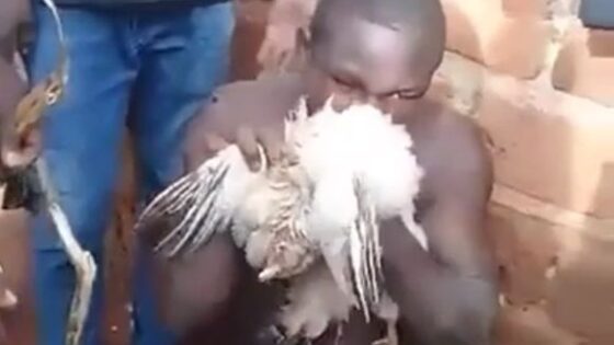 Thief forced to eat raw dead chicken he stole Photo 0001 Video Thumb