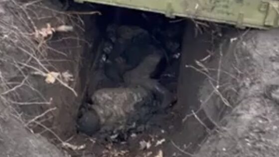 Ukrainians cleared a russian nesting hole Photo 0001 Video Thumb