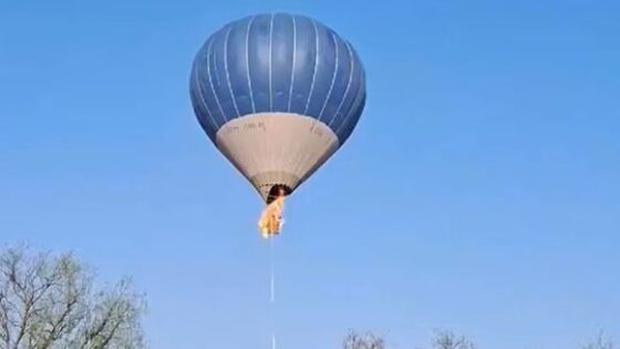 Hot air balloon catches fire and couple die in terrible accident mexico Photo 0001 Video Thumb