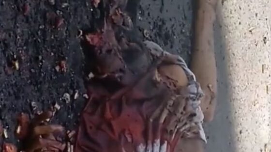 If your gone shoot someone why not shoot them 6982 times Photo 0001 Video Thumb