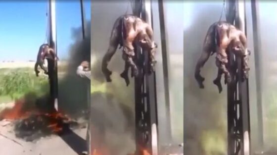 Man burned to death hanging from a pole Photo 0001 Video Thumb