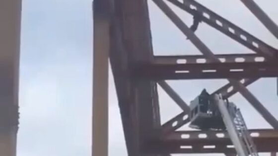 Man falls while swinging on the top of bridge Photo 0001 Video Thumb