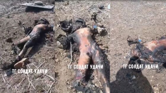 Ukrainian turned dead Photo 0001 Video Thumb