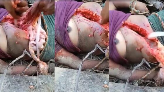 Woman murdered and her viscera are removed by criminals Photo 0001 Video Thumb