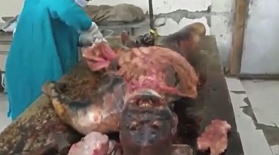 Autopsy of a body in an advanced state of putrefaction imagine the stench of the place Photo 0001 Video Thumb