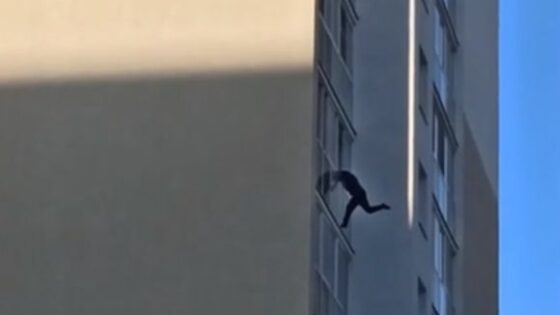 Man jumps backwards in insane suicide attempt Photo 0001 Video Thumb