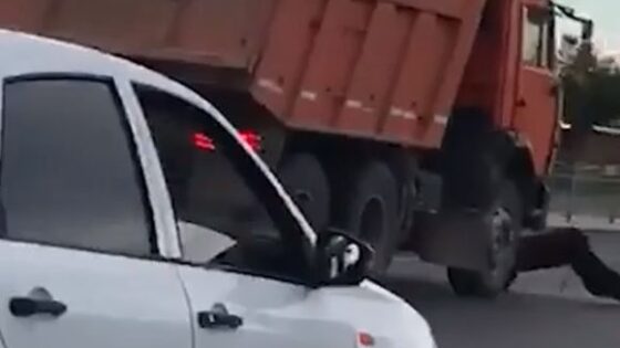 Man throws himself into truck wheels Photo 0001 Video Thumb