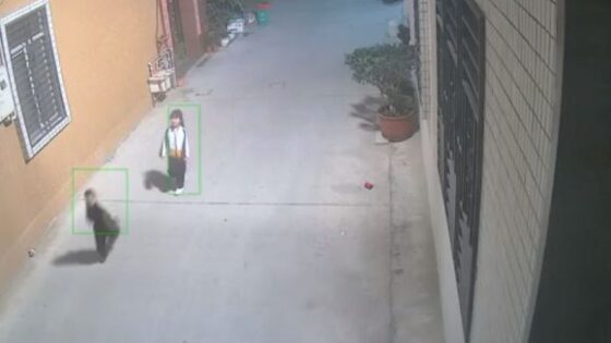 Child playing in the yard is run over in china in a very sad accident Photo 0001 Video Thumb