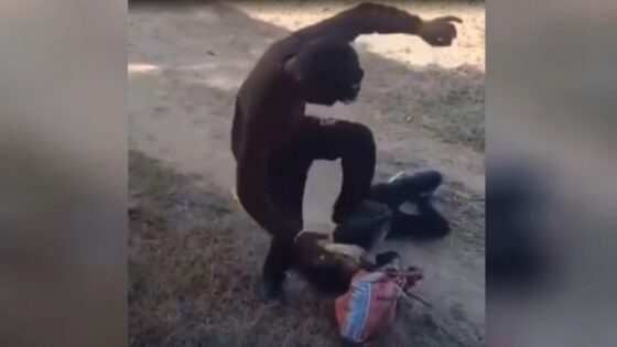 Man brutally beats his wife in india Photo 0001 Video Thumb