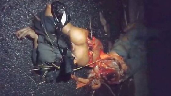 Woman has her body destroyed in a traffic accident in brazil and her guts are thrown to the ground Photo 0001 Video Thumb