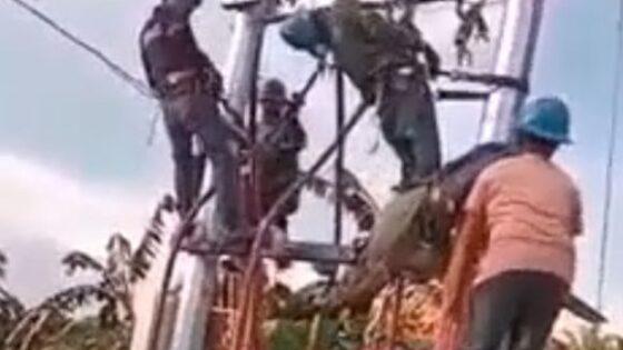 A working man is electrocuted to death in a work accident somewhere in africa Photo 0001 Video Thumb