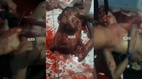 Brazilian gang ending rival with brutality and fatality Photo 0001 Video Thumb