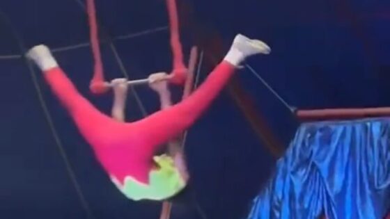 Circus acrobat gone wrong Photo 0001 Video Thumb