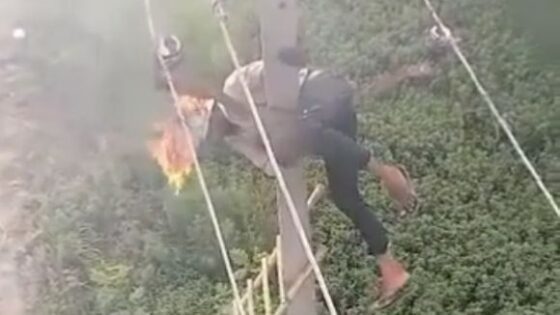 Electrician got electrocuted while maintenance the line on the electric pole Photo 0001 Video Thumb
