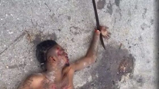 Man gets sliced and diced on a street with a machete Photo 0001 Video Thumb